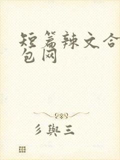 短篇辣文合集书包网