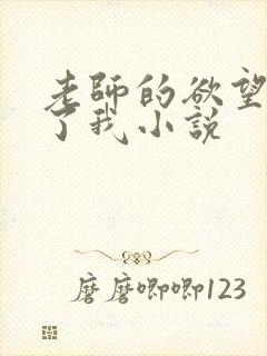 老师的欲望满足了我小说封面