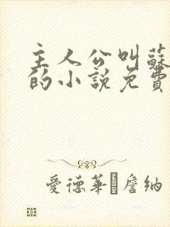 主人公叫苏铭渊的小说免费阅读