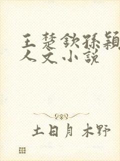 王楚钦孙颖莎同人文小说