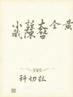 小说大全黄帝秘藏陈启