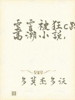 云霄被狂c躁到高潮小说,封面