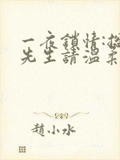 一夜锁情:总裁先生请温柔封面