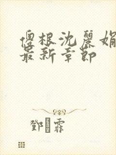 傻根沈丽娟结局最新章节