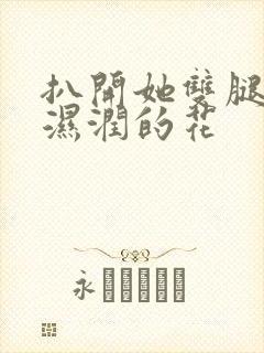 扒开她双腿挺进湿润的花