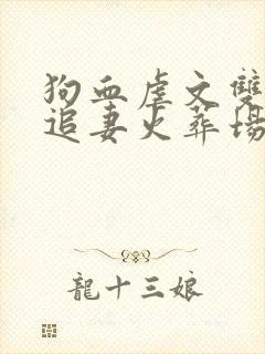 狗血虐文双男主追妻火葬场