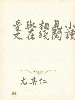 爱与相见小说全文在线阅读