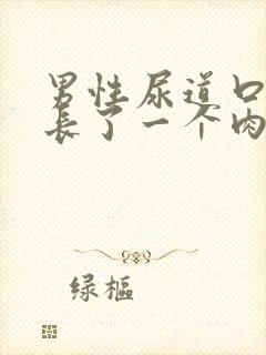 男性尿道口上面长了一个肉粒