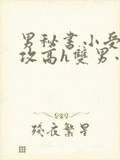 男秘书小受引诱攻高h双男小说