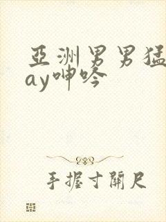 亚洲男男猛男gay呻吟