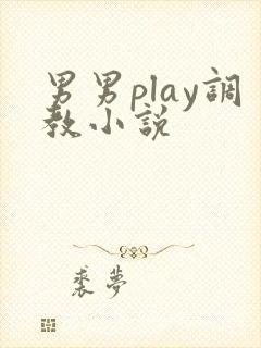 男男play调教小说封面