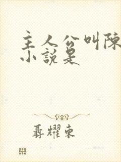 主人公叫陈平的小说是