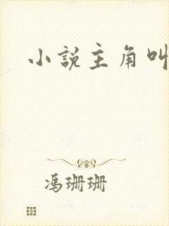 小说主角叫林凡