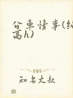 公车情事(纯肉高h)封面