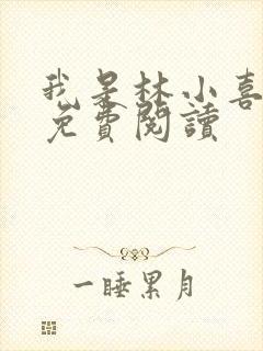 我是林小喜全文免费阅读