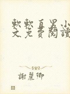 软软直男小说全文免费阅读