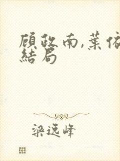 顾政南,叶依大结局