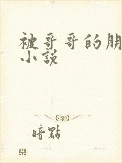 被哥哥的朋友操小说