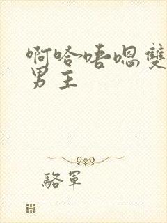 啊哈唔嗯双性双男主