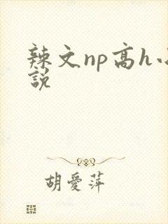 辣文np高h小说封面