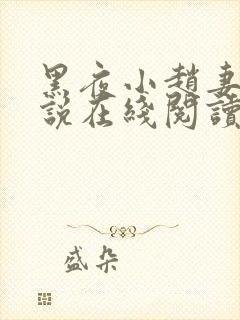 黑夜小赵妻子小说在线阅读