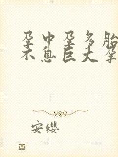 孕中孕多胎生生不息巨大孕肚封面