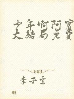 少年啊阿宾小说大结局免费阅读