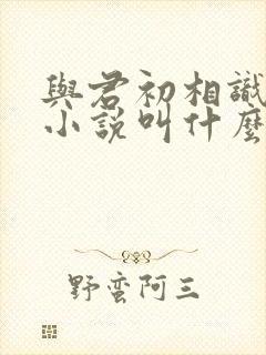 与君初相识原著小说叫什么