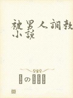 被男人调教sm小说封面