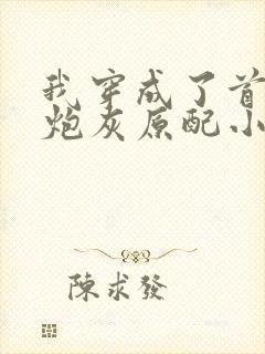 我穿成了首辅的炮灰原配小说