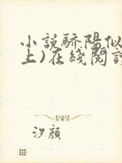 小说骄阳似我(上)在线阅读