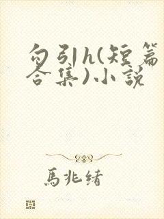 勾引h(短篇肉合集)小说