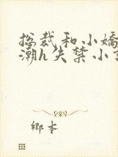 总裁和小娇妻高潮h失禁小说