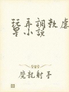 玩弄调教虐女明星小说