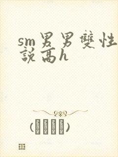 sm男男双性小说高h
