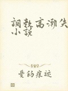 调教高潮失禁h小说封面