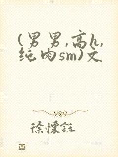 (男男,高h,纯肉sm)文