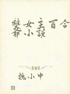 双女主百合傻姑爷小说