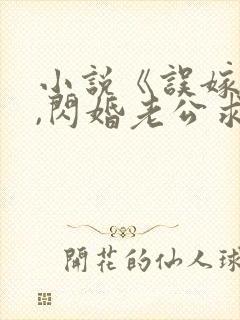 小说《误嫁豪门,闪婚老公求见面》