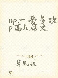 np一受多攻np高h腐文