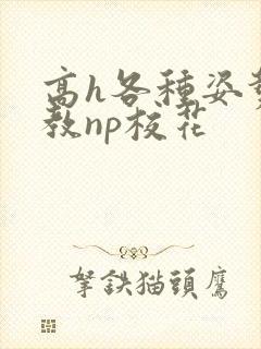 高h各种姿势调教np校花