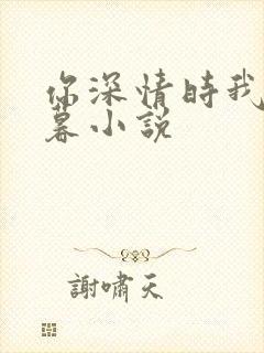 你深情时我心已暮小说