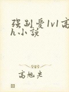 强制爱1v1高h小说
