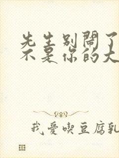 先生别闹了新娘不是你的大结局