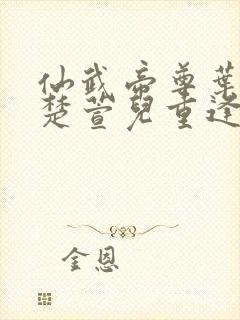 仙武帝尊叶辰和楚萱儿重逢封面