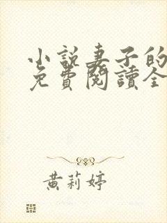 小说妻子的秘密免费阅读全文