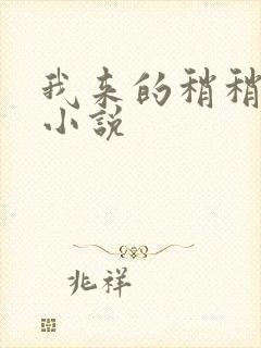 我来的稍稍迟 小说