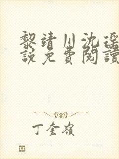 黎靖川沈瑶初小说免费阅读最新章节