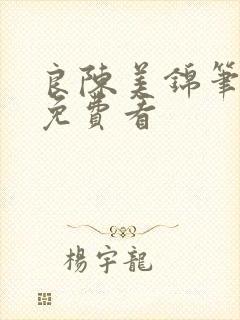 良陈美锦笔趣阁免费看