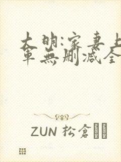 大明:家妻上将军无删减全文